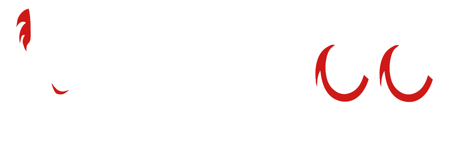 Logotipo Draccoo Diseño Digital, versión blanca