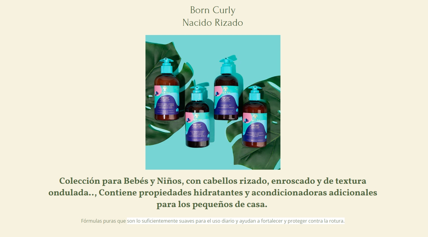 Inicio Born Curly anterior